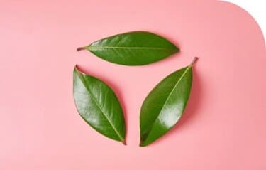 Solutis, une société responsable et engagée